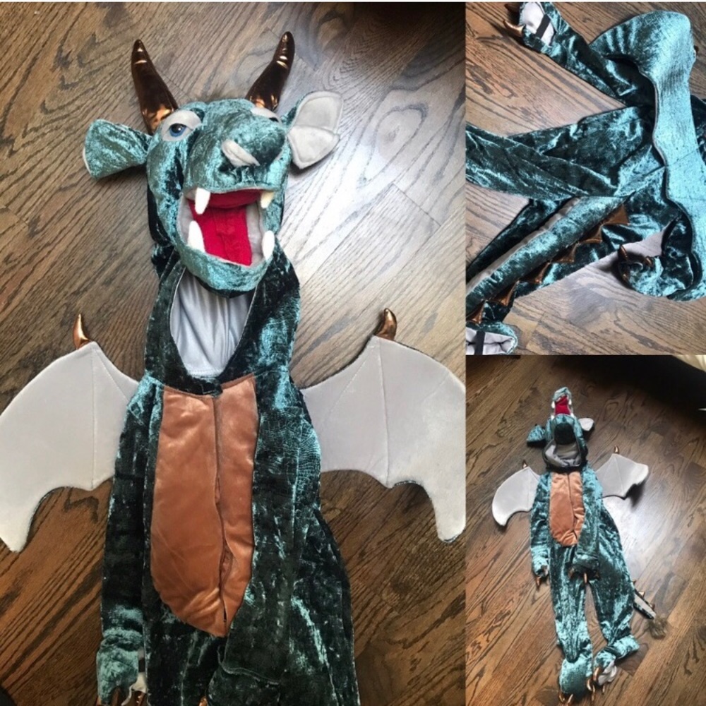 Dragon Costume